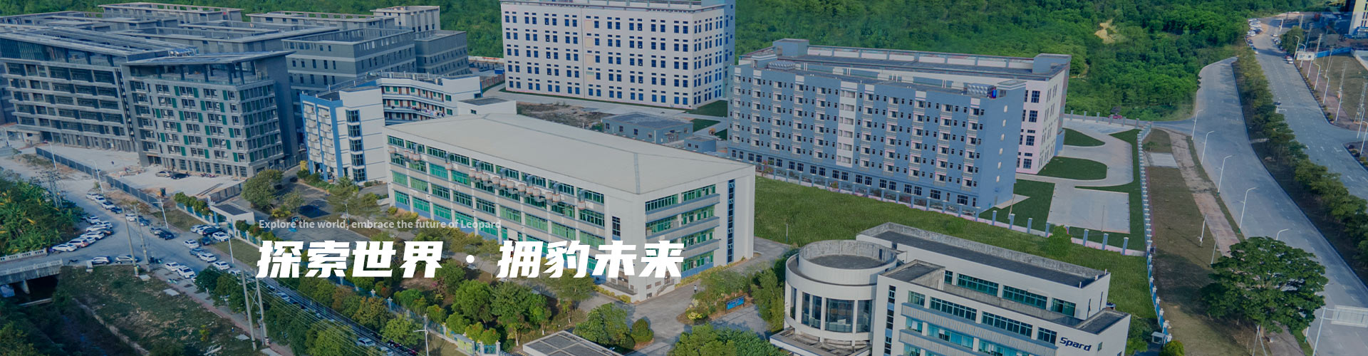 探索世界 拥豹未来